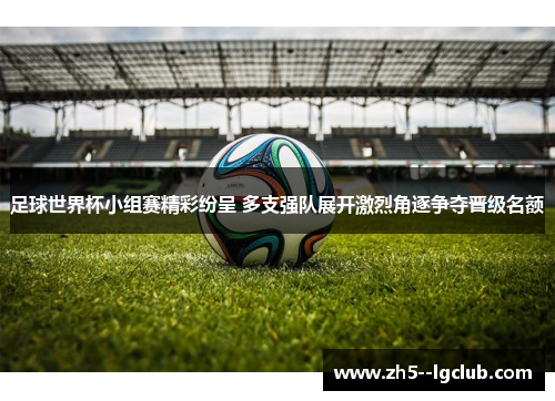 足球世界杯小组赛精彩纷呈 多支强队展开激烈角逐争夺晋级名额