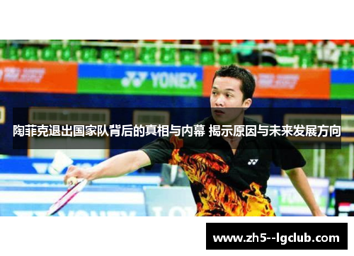 陶菲克退出国家队背后的真相与内幕 揭示原因与未来发展方向