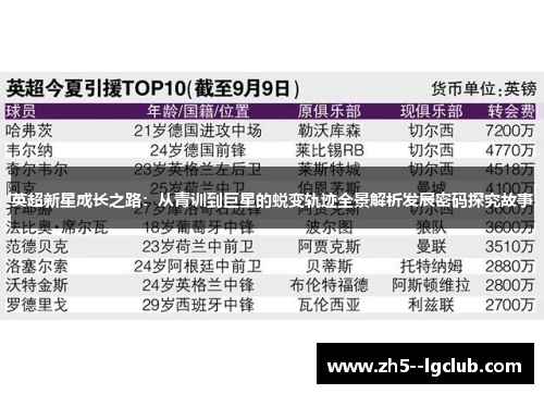 英超新星成长之路：从青训到巨星的蜕变轨迹全景解析发展密码探究故事