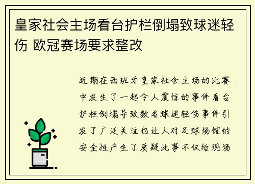 皇家社会主场看台护栏倒塌致球迷轻伤 欧冠赛场要求整改