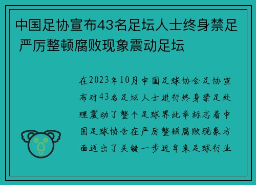 中国足协宣布43名足坛人士终身禁足 严厉整顿腐败现象震动足坛